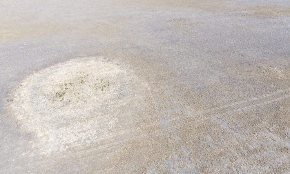 DCIM100MEDIADJI 0022.JPG