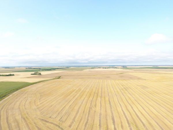 DJI 0001 2 1 1024x768 1