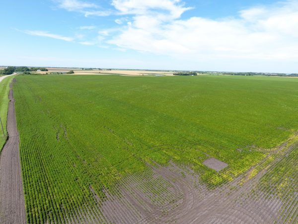 DCIM100MEDIADJI 0001.JPG