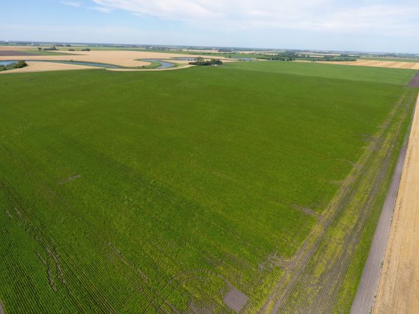 DCIM100MEDIADJI 0002.JPG