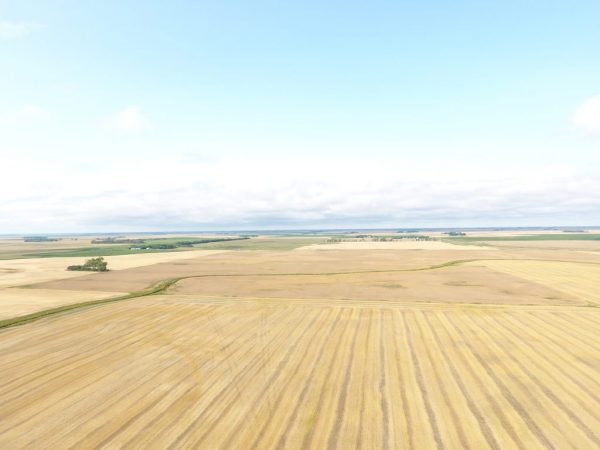 DJI 0002 2 1 1024x768 1