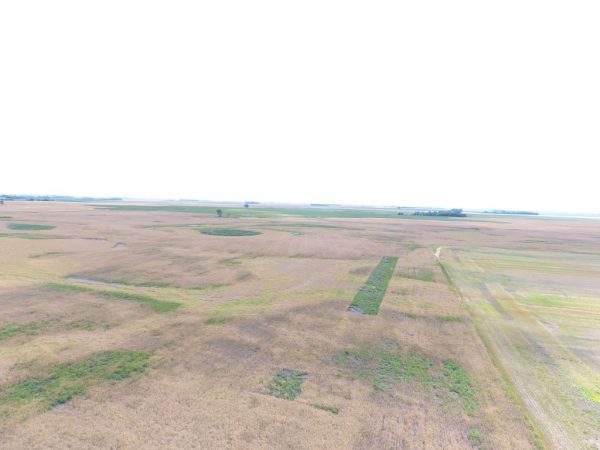 DJI 0002 3 1024x768 1