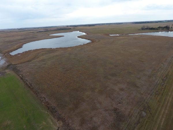 DCIM100MEDIADJI 0002.JPG