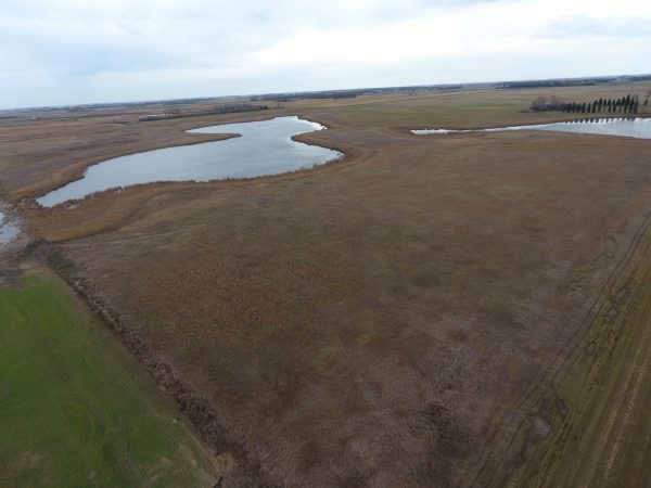 DCIM100MEDIADJI 0002.JPG