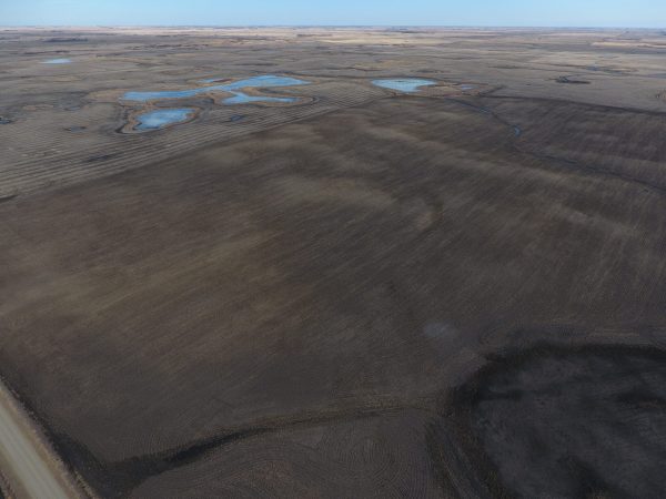 DCIM100MEDIADJI 0002.JPG