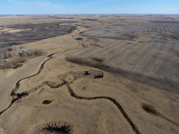 DCIM100MEDIADJI 0002.JPG