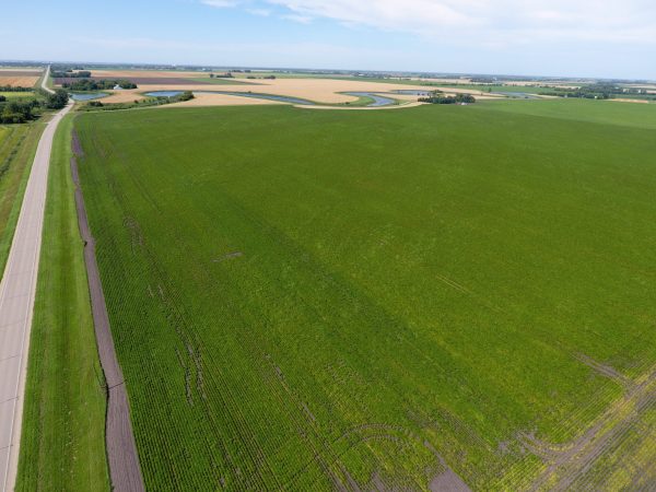 DCIM100MEDIADJI 0003.JPG