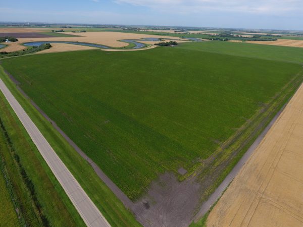 DCIM100MEDIADJI 0004.JPG