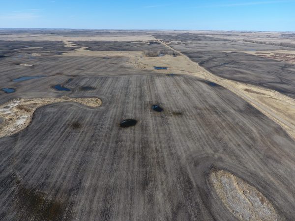 DCIM100MEDIADJI 0005.JPG