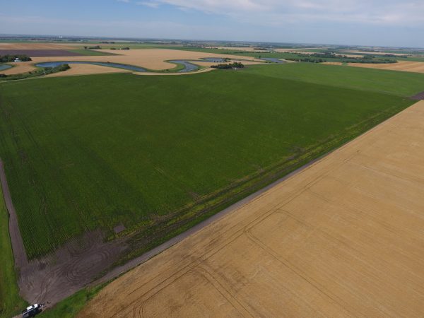 DCIM100MEDIADJI 0005.JPG