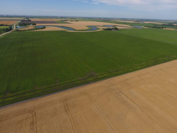 DCIM100MEDIADJI 0006.JPG