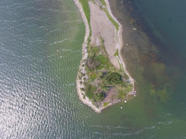 DJI 0006