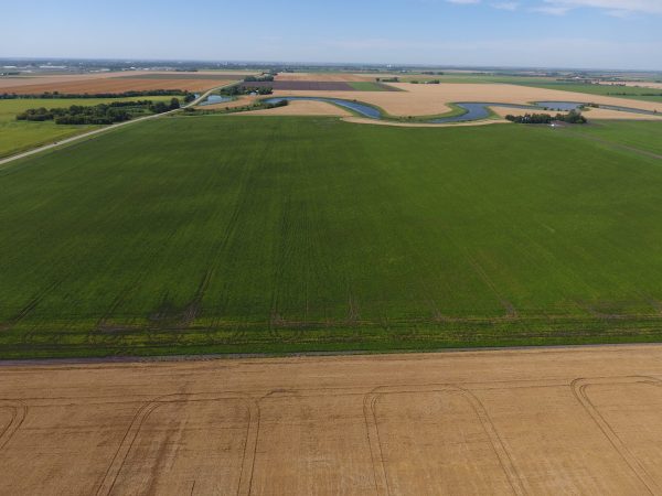 DCIM100MEDIADJI 0007.JPG