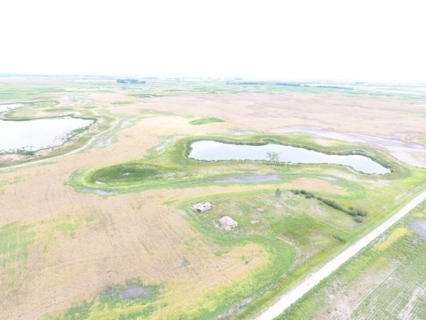 DJI 0007 4 1024x768 1