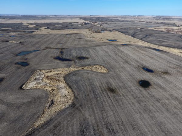 DCIM100MEDIADJI 0007.JPG