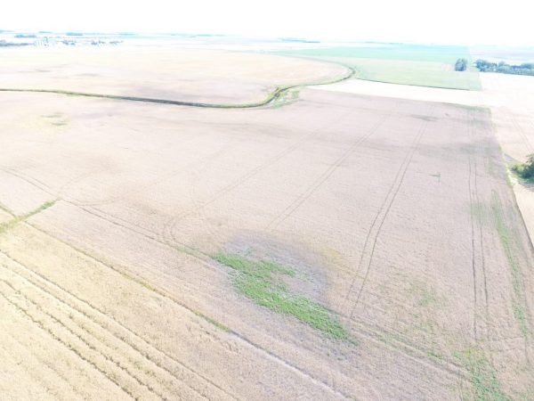 DJI 0008 2 1 1024x768 1