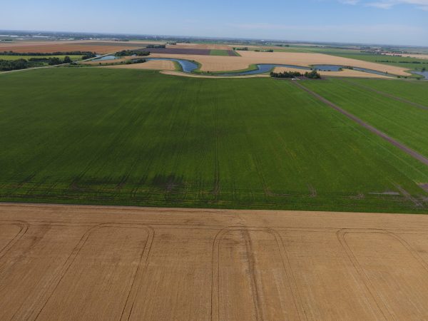 DCIM100MEDIADJI 0008.JPG