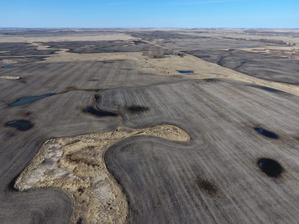 DCIM100MEDIADJI 0008.JPG