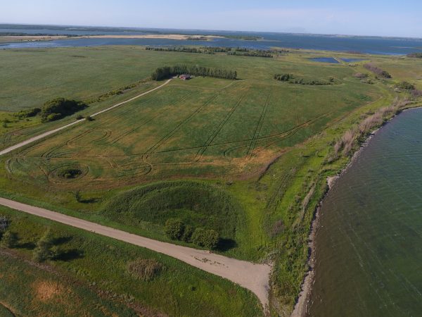 DCIM100MEDIADJI 0009.JPG