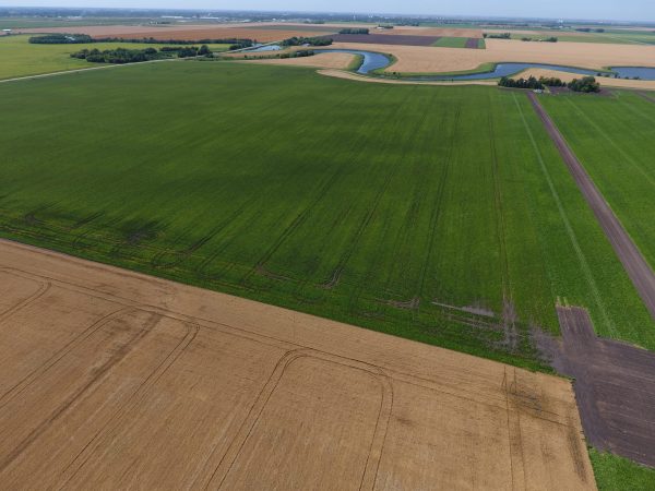 DCIM100MEDIADJI 0009.JPG