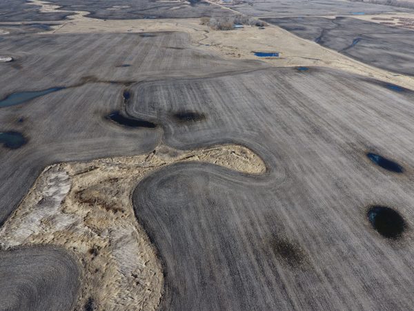 DCIM100MEDIADJI 0009.JPG