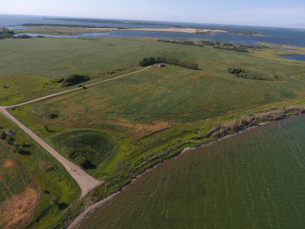 DCIM100MEDIADJI 0010.JPG