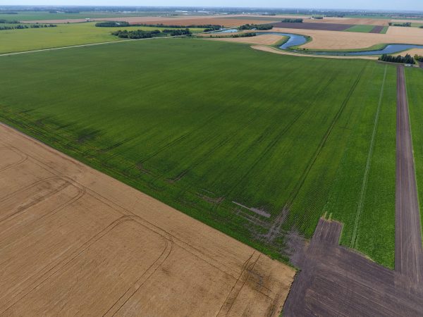 DCIM100MEDIADJI 0010.JPG