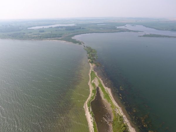 DJI 0010