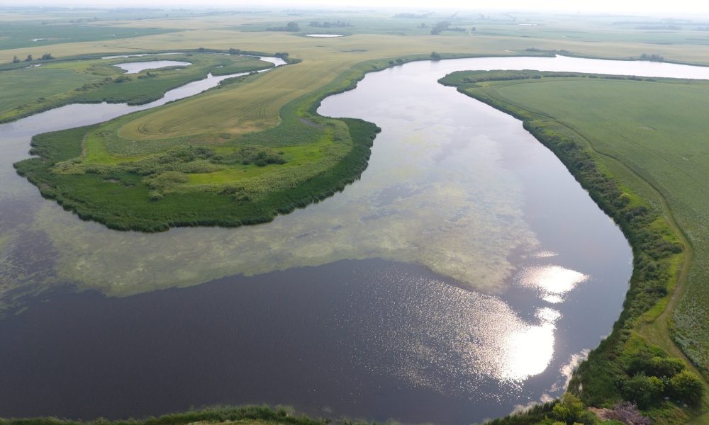 DCIM100MEDIADJI 0010.JPG