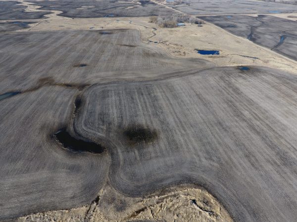 DCIM100MEDIADJI 0010.JPG