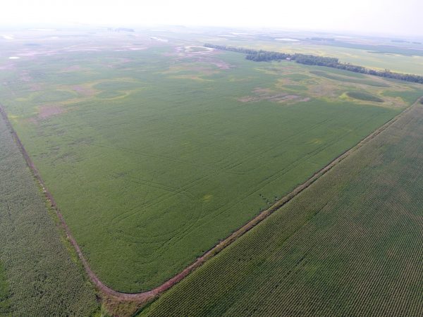 DCIM100MEDIADJI 0010.JPG