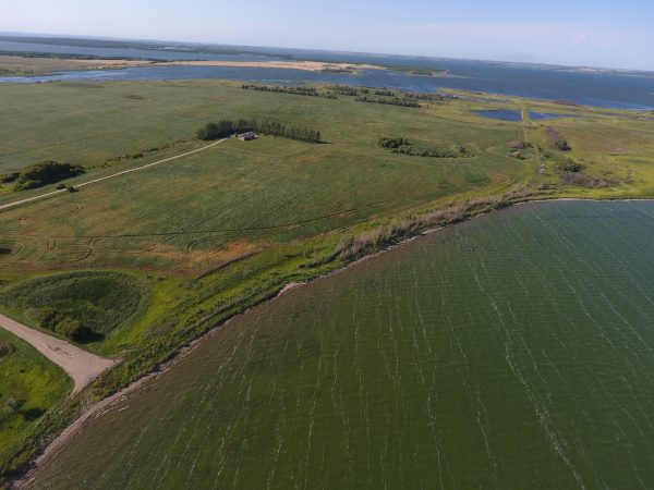 DCIM100MEDIADJI 0011.JPG