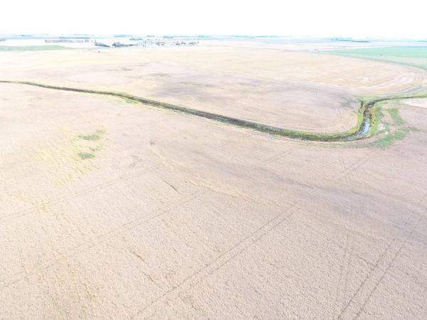 DJI 0011 2 1 1024x768 1