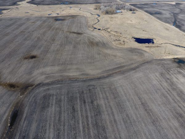 DCIM100MEDIADJI 0011.JPG