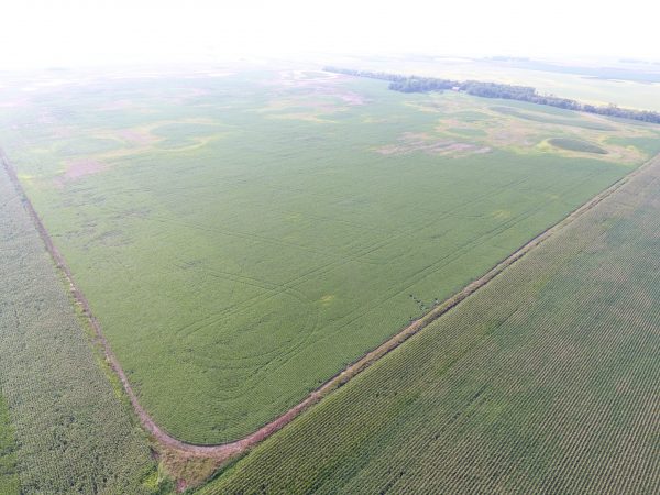 DCIM100MEDIADJI 0011.JPG