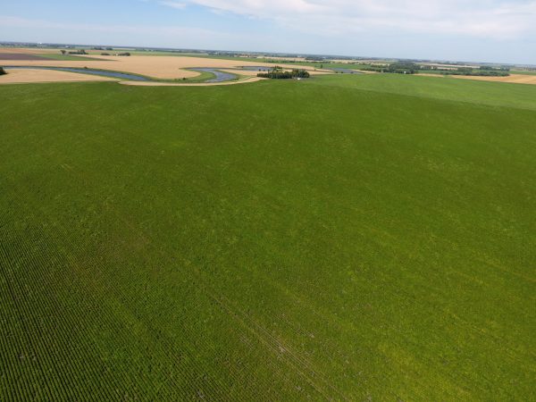 DCIM100MEDIADJI 0012.JPG