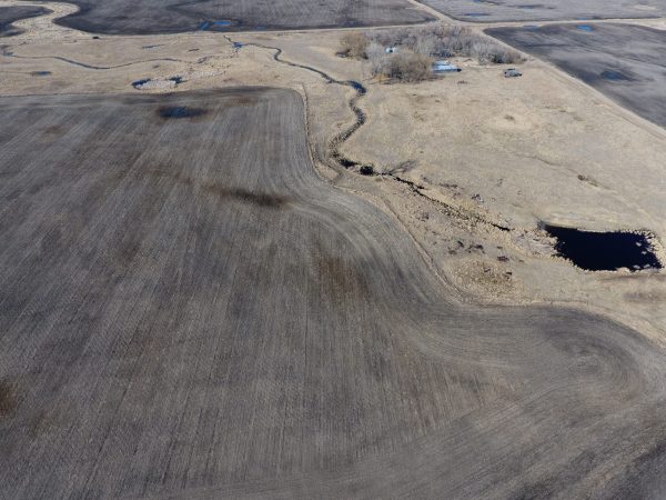 DCIM100MEDIADJI 0012.JPG