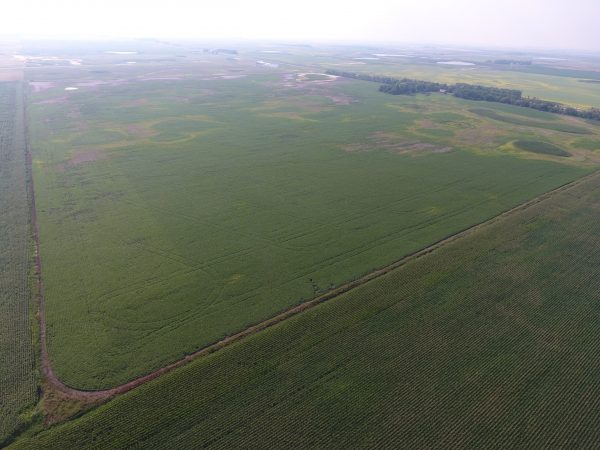 DCIM100MEDIADJI 0012.JPG