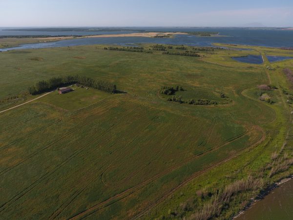 DCIM100MEDIADJI 0013.JPG