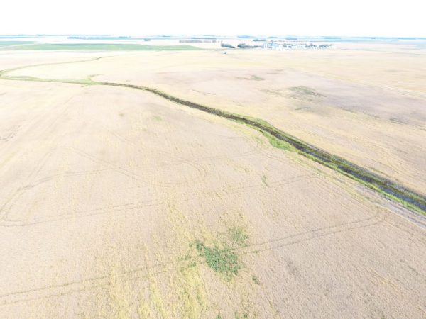 DJI 0013 2 1 1024x768 1