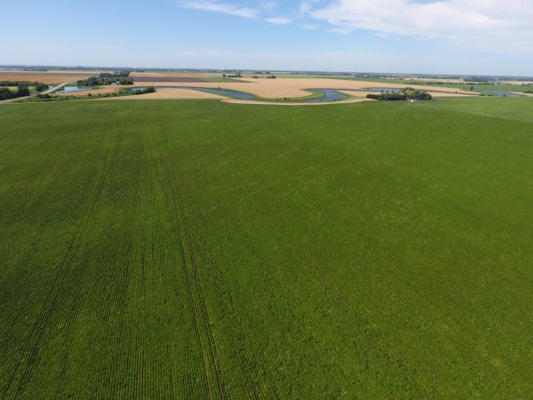 DCIM100MEDIADJI 0013.JPG