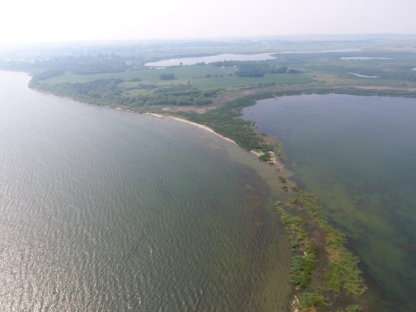 DJI 0013