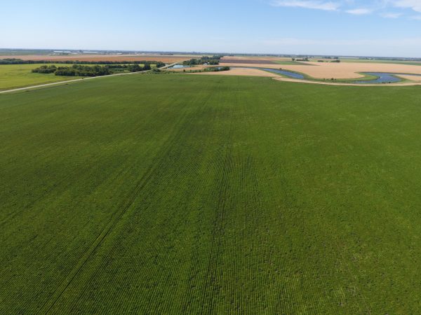 DCIM100MEDIADJI 0014.JPG