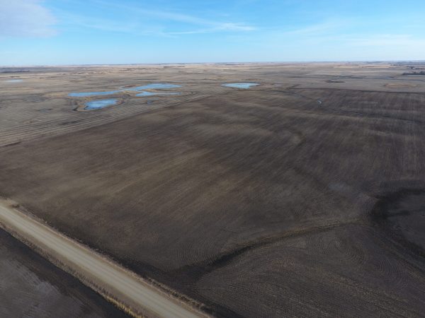 DCIM100MEDIADJI 0014.JPG