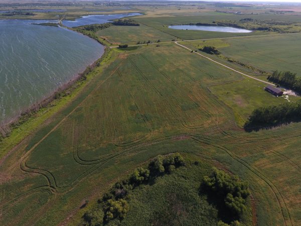 DCIM100MEDIADJI 0015.JPG