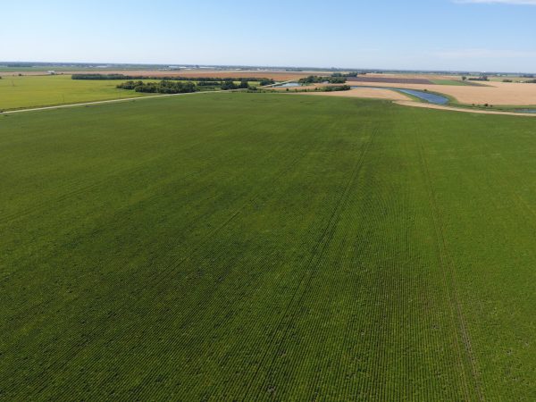 DCIM100MEDIADJI 0015.JPG