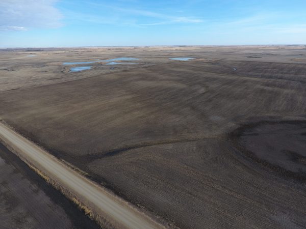 DCIM100MEDIADJI 0015.JPG