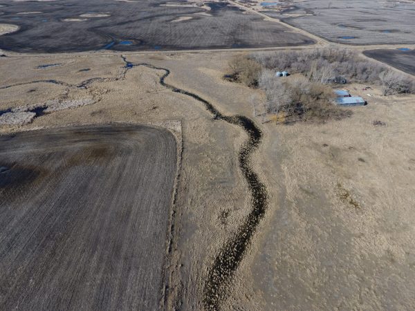 DCIM100MEDIADJI 0015.JPG