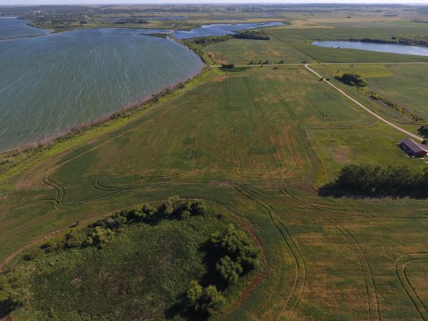 DCIM100MEDIADJI 0016.JPG