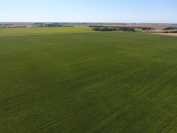 DCIM100MEDIADJI 0016.JPG